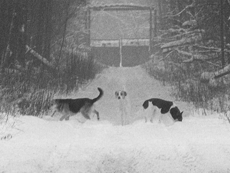 Under the Bridge