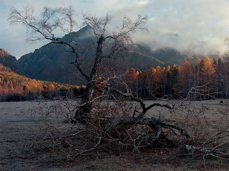 Autumn In Sayan Mountains