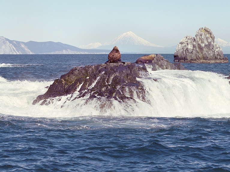 Kamchatka Coast